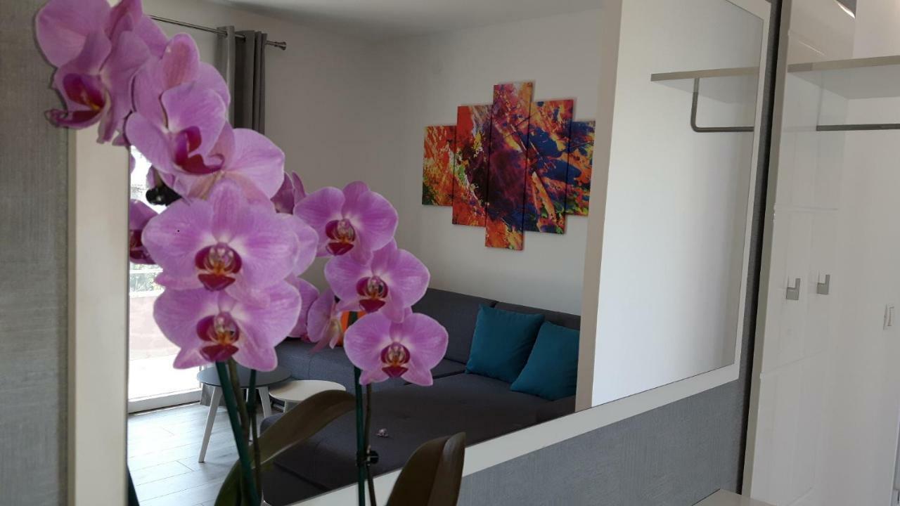 Apartment Relja Zadar Bagian luar foto