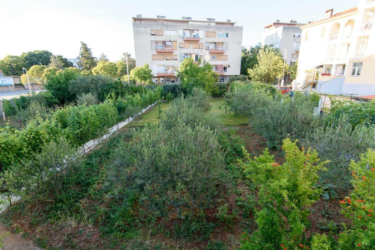 Apartment Relja Zadar Bagian luar foto